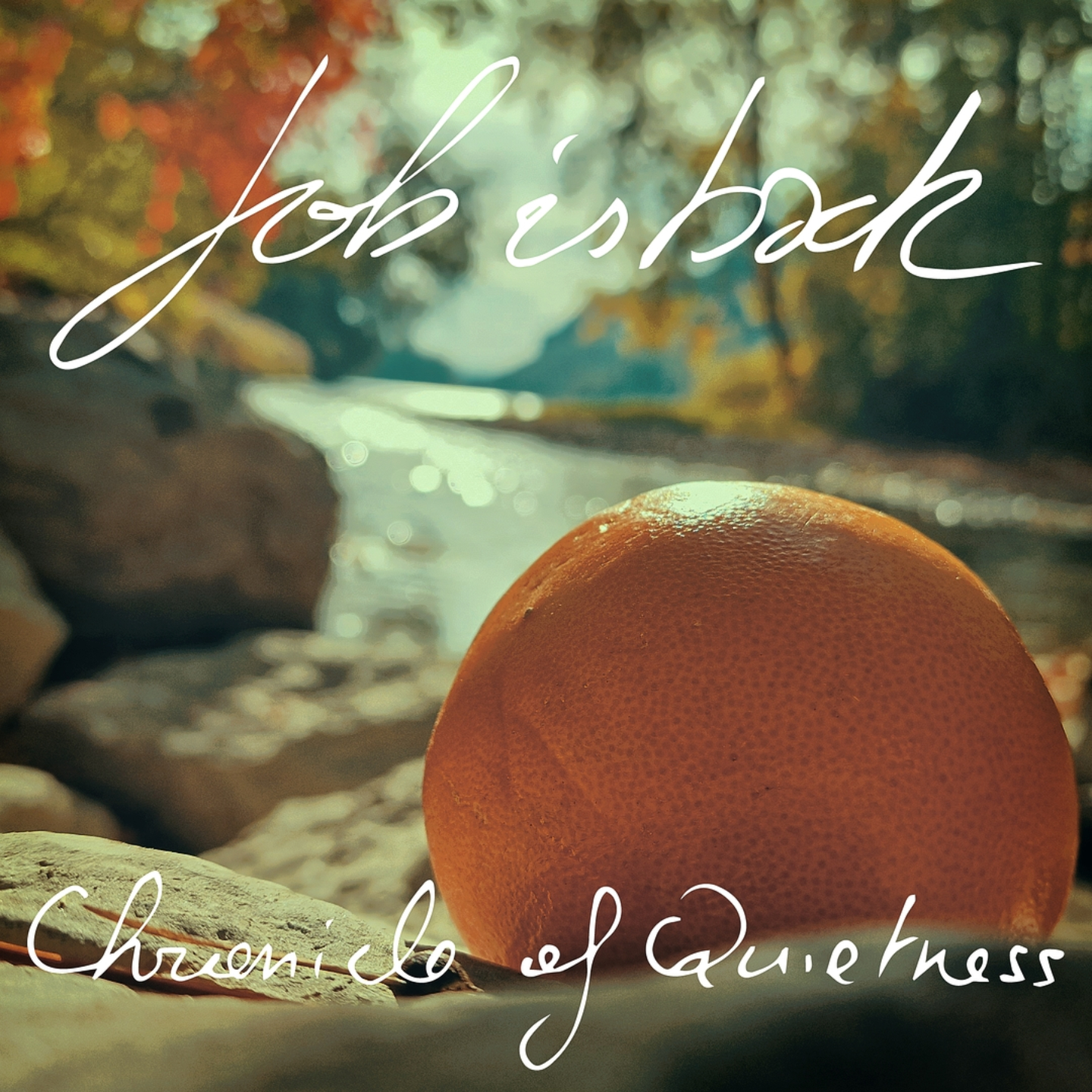 pochette du single Chronicle of Quietness de l'artiste job is back